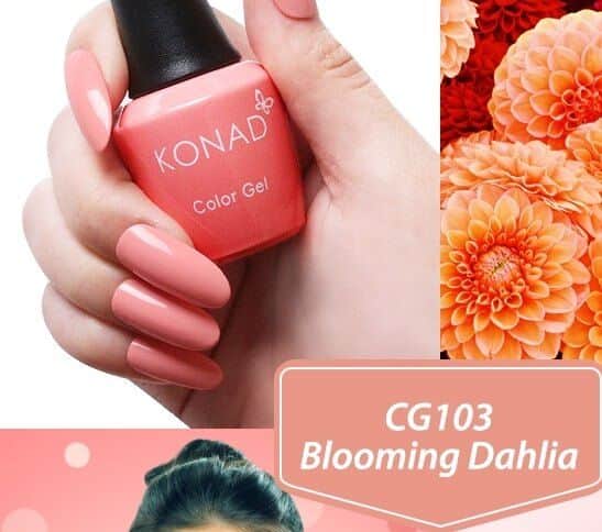 CG103 Blooming Dahlia