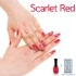 ג'ל לק konad gel polish Scarlet Red 08