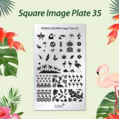 מיני פלטה 35 PLATE