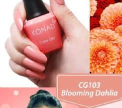 CG103 Blooming Dahlia